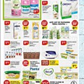 Antevisão Folheto PINGO DOCE Lojas Grandes Promoções de 11 a 17 maio
